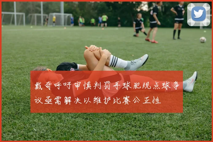 戴奇呼吁审慎判罚手球犯规点球争议亟需解决以维护比赛公正性